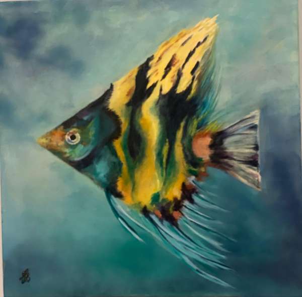 Segelfisch