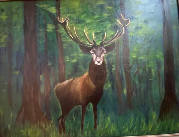 Hirsch